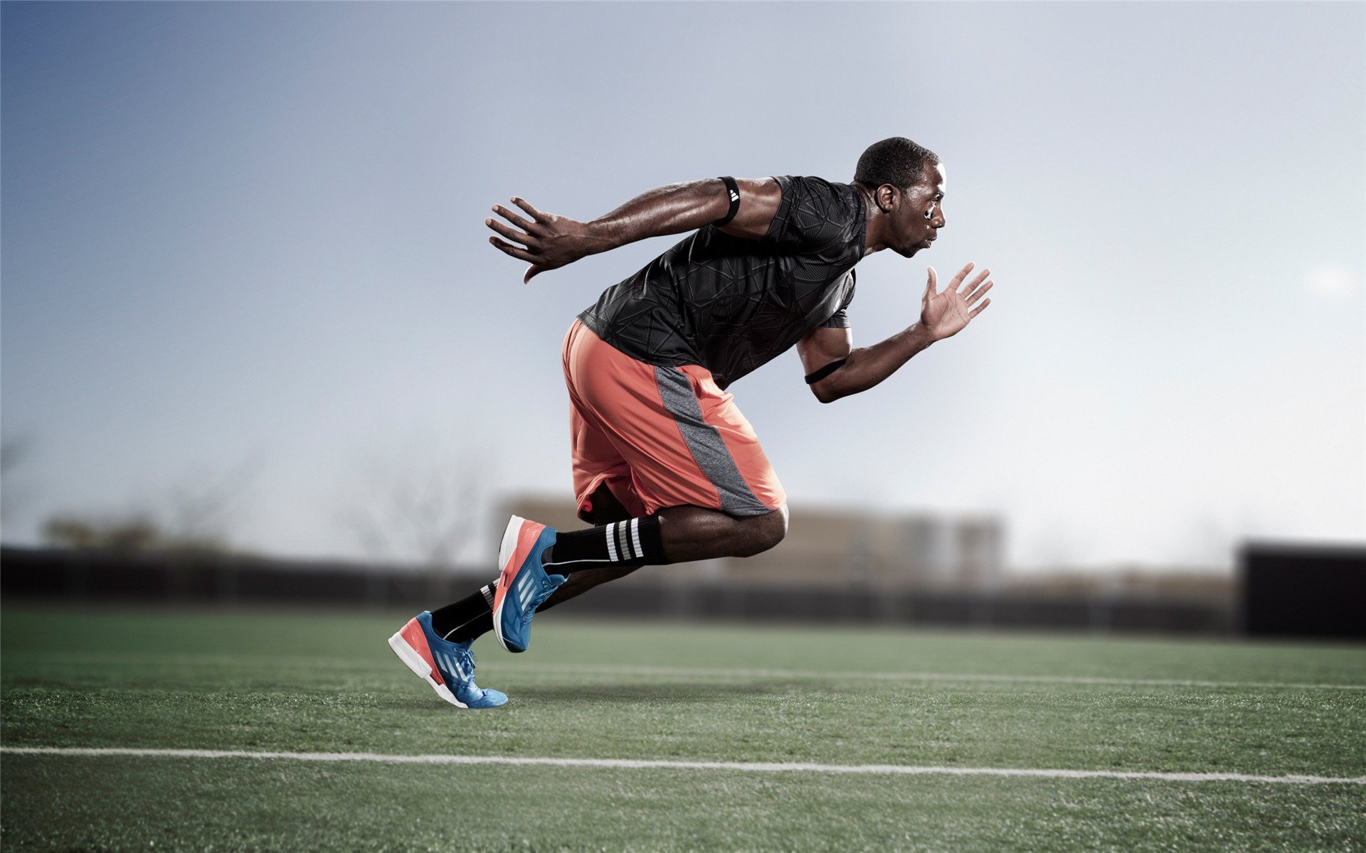 塞内加尔马术协会建立马匹基因数据库，促进马匹选育与训练。，马塞尔·里塞